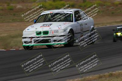 media/May-04-2024-Lucky Dog Racing (Sat) [[d39539b3f3]]/Race Pics/1045am (Turn 6)/